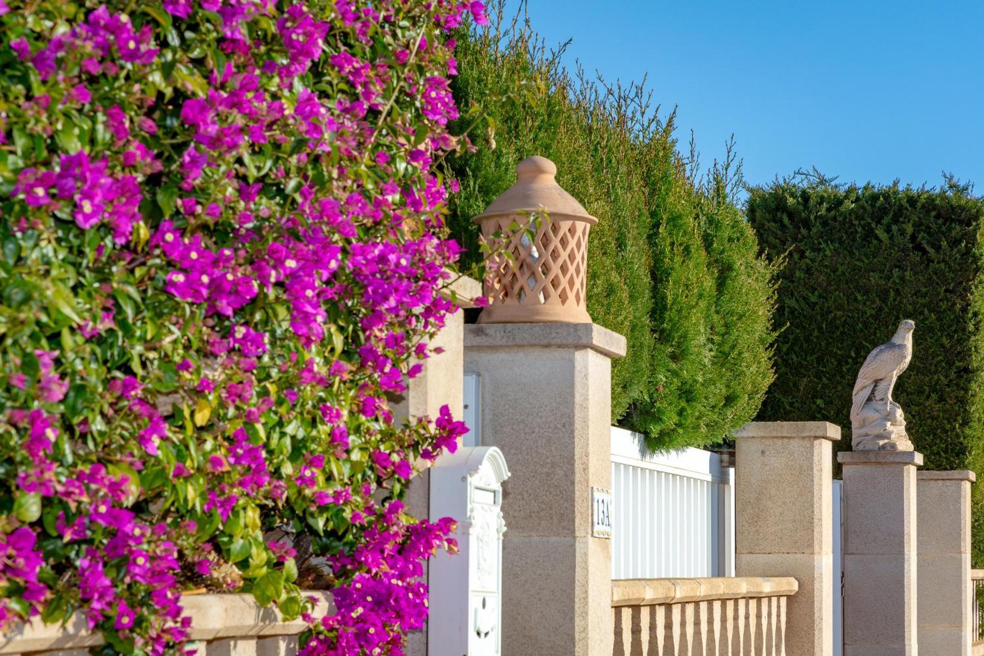 Villa Palmera ميورقة المظهر الخارجي الصورة